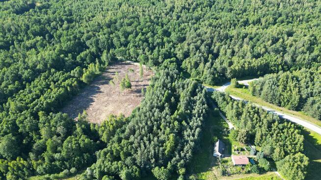 Działki Budowlane W Lesie