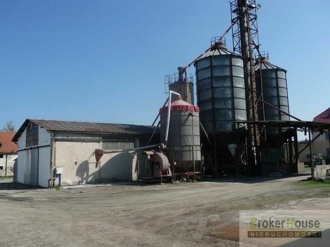 Lokal użytkowy Bielice gm. Łambinowice