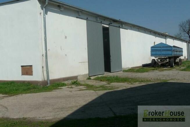 Lokal użytkowy Bielice gm. Łambinowice