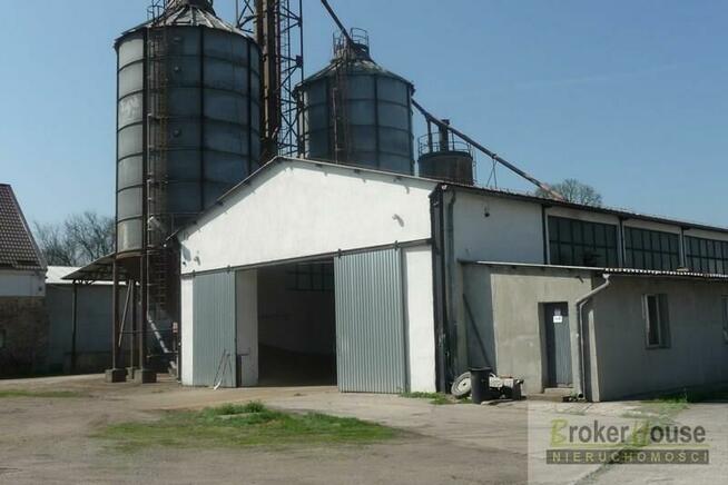 Lokal użytkowy Bielice gm. Łambinowice