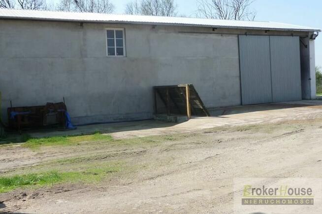 Lokal użytkowy Bielice gm. Łambinowice