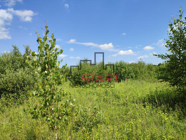 Działka budowlana Adamów-Parcel gm. Radziejowice,