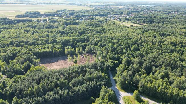 Działki Budowlane W Lesie