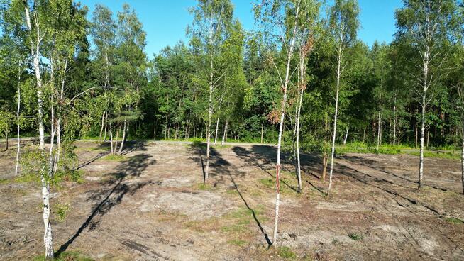 Działki Budowlane W Lesie