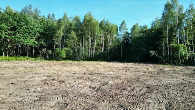 Działki Budowlane W Lesie