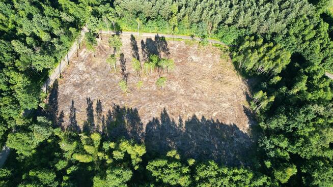 Działki Budowlane W Lesie