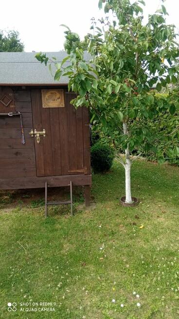 Działkę Ogrodową z domkiem murowanym sprzedam