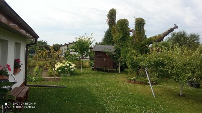 Działkę Ogrodową z domkiem murowanym sprzedam