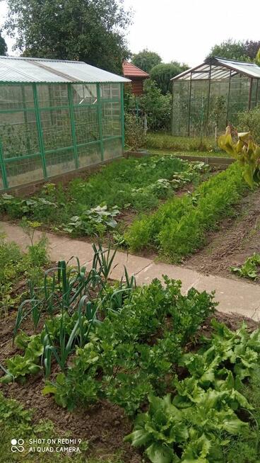 Działkę Ogrodową z domkiem murowanym sprzedam