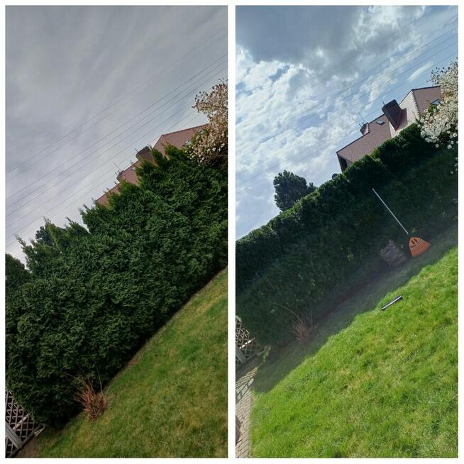 Zaopiekuje się twoim ogrodem :)