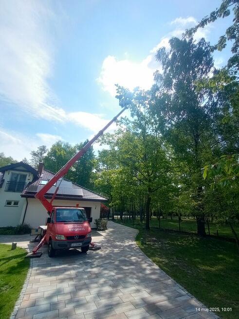 Wycinka drzew, usługi podnośnikiem koszowym, zwyżka