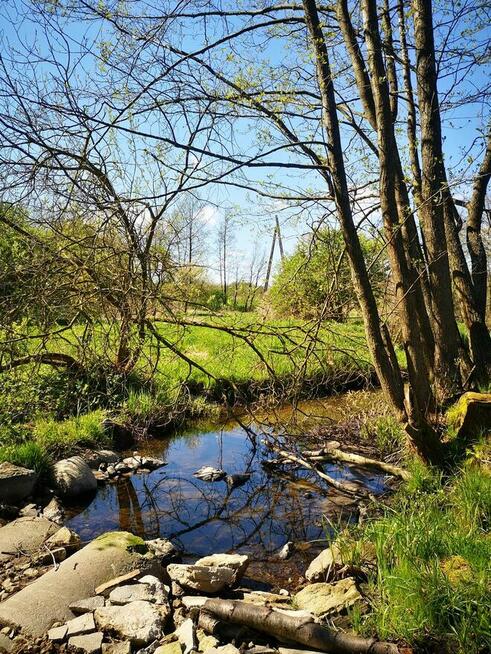 Działka nad jeziorem Żalkim Dużym