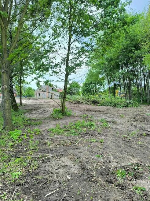 Wynajmę działkę w Gortatowie