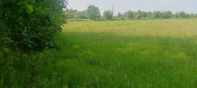 Sprzedam działki 3000,2000 4000 M2 Korabiewice