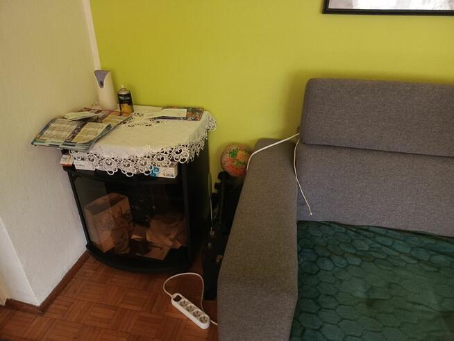 Posiadam do wynajęcia dwupokojowe mieszkanie