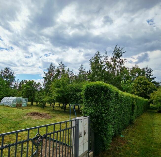 Działka 1000m2, ul. Modrzewiowa Rudna Mała