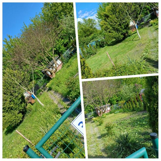 Zaopiekuje się twoim ogrodem :)