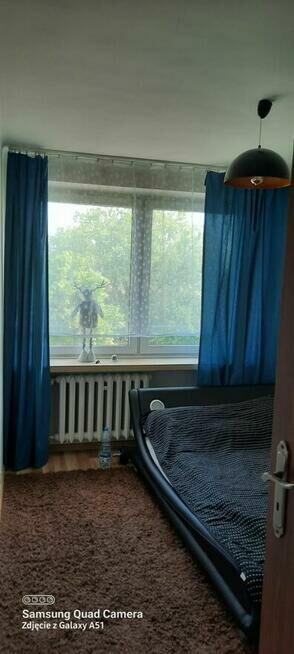 Do wynjecia 2 pokojowe mieszkanie w centrum Rzeszowa