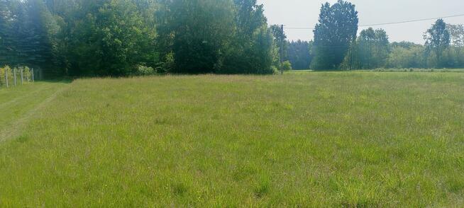 Sprzedam działki 3000,2000 4000 M2 Korabiewice