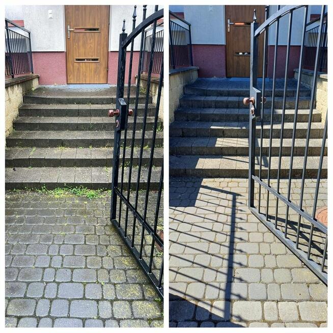 Zaopiekuję się twoim ogrodem :)