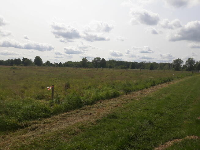 Sprzedam działkę 1350 m² Kęsowo