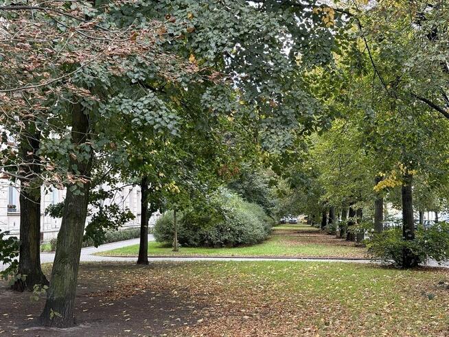 Ciche, jasne, wysokie, pl. Zbawiciela