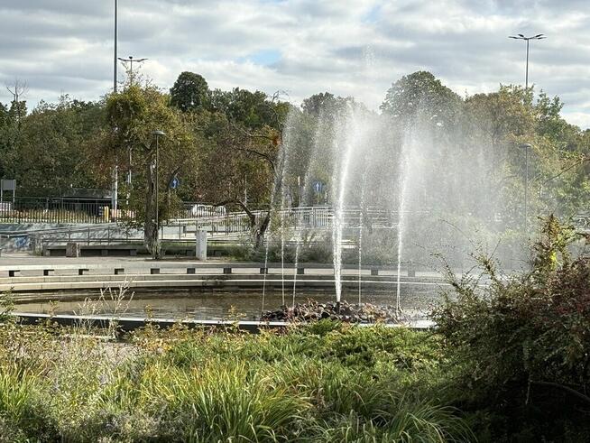 Ciche, jasne, wysokie, pl. Zbawiciela