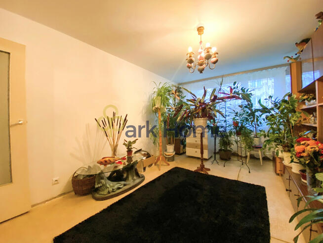 Mieszkanie Kalsk gm. Sulechów,