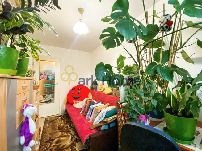 Mieszkanie Kalsk gm. Sulechów,