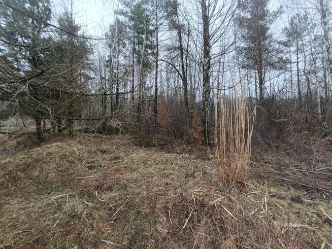 Działka rekreacyjna Przyłogi gm. Smyków,