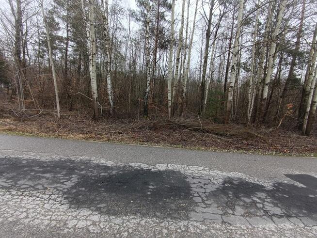 Działka rekreacyjna Przyłogi gm. Smyków,