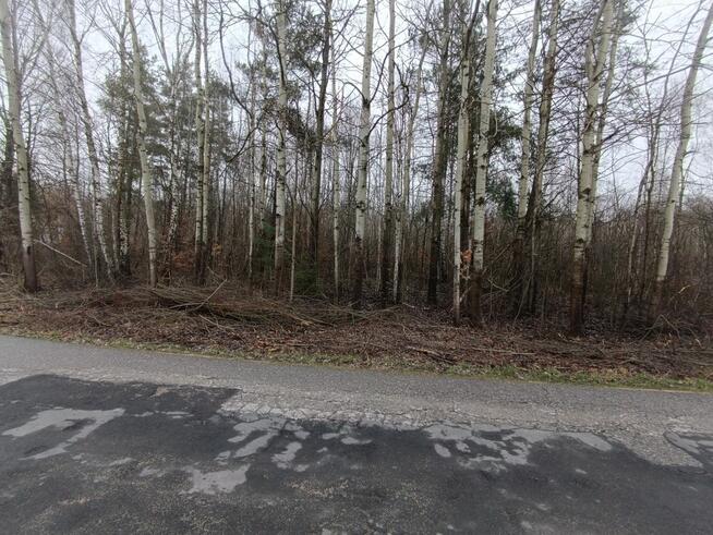 Działka rekreacyjna Przyłogi gm. Smyków,