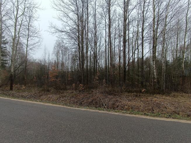 Działka rekreacyjna Przyłogi gm. Smyków,