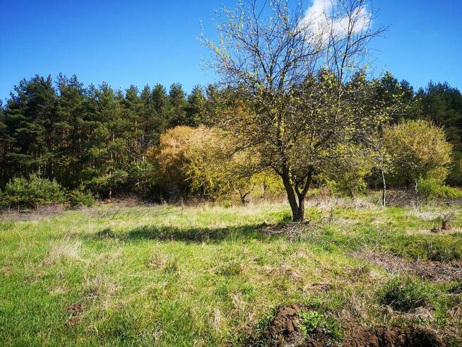 Działka nad jeziorem Żalkim Dużym