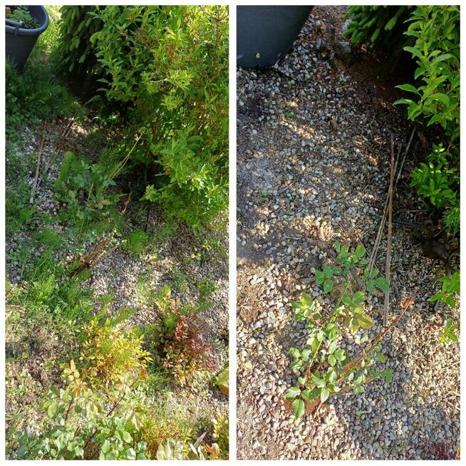 Zaopiekuje się twoim ogrodem :)