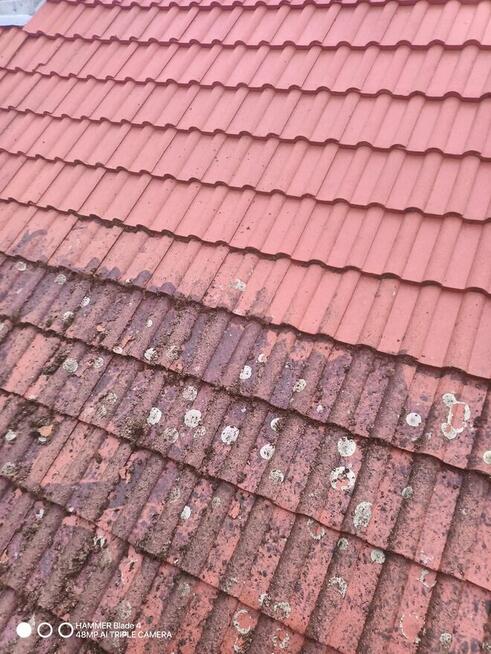 Malowanie dachów elewacji mycie elewacji dachów krostki bruk