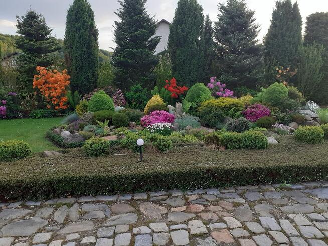 Sprzedam siedlisko dom w urokliwej miejscowości