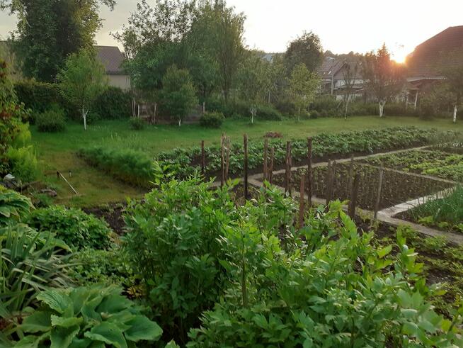 Sprzedam siedlisko dom w urokliwej miejscowości