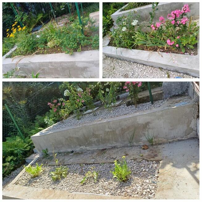 Zaopiekuje się twoim ogrodem :)