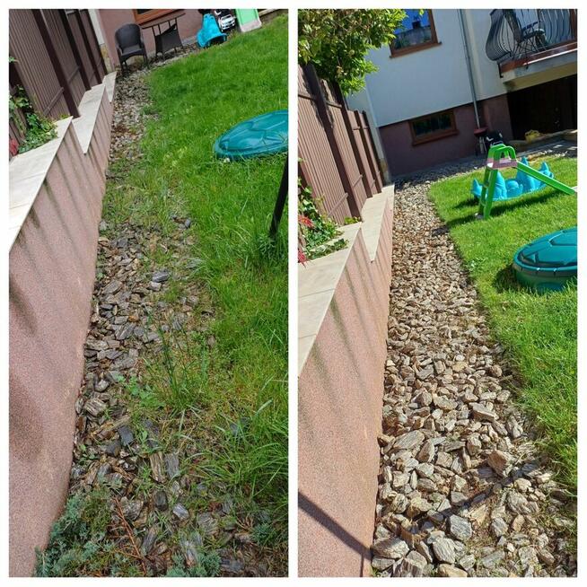 Zaopiekuję się twoim ogrodem :)