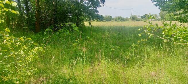 Sprzedam działki 3000,2000 4000 M2 Korabiewice