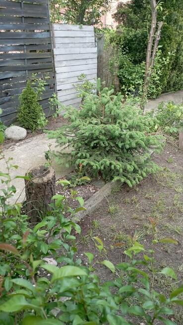 Działka Rekreacyjna (Ogródek) 94m Rybnik-Chwałowice Altanka,