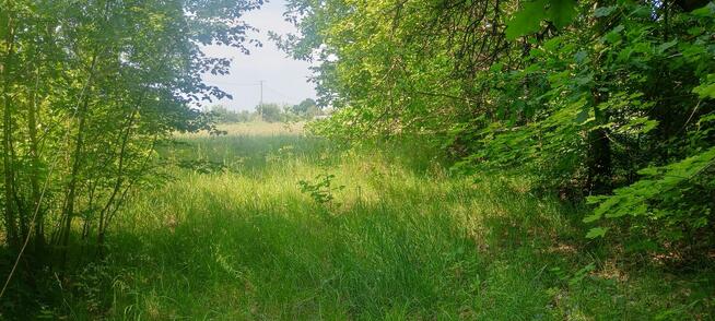 Sprzedam działki 3000,2000 4000 M2 Korabiewice