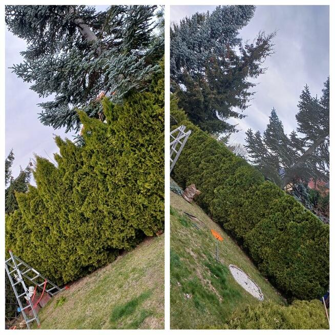 Zaopiekuje się twoim ogrodem :)