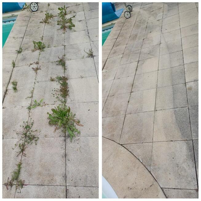 Zaopiekuje się twoim ogrodem :)