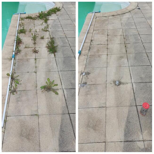 Zaopiekuje się twoim ogrodem :)