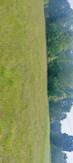 Sprzedam działki 3000,2000 4000 M2 Korabiewice