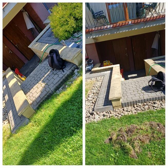 Zaopiekuję się twoim ogrodem :)