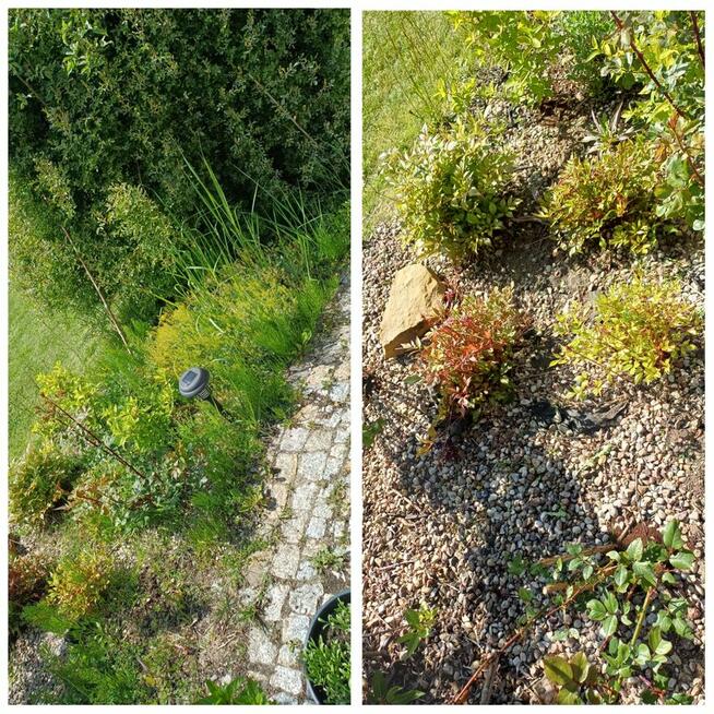 Zaopiekuje się twoim ogrodem :)