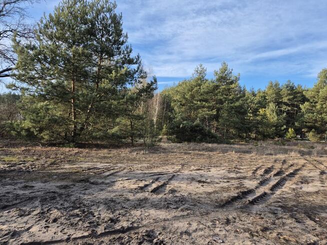 DZIAŁKA REKREACYJNA BRZOZÓWKA K/WARKI